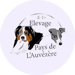 Élevage du pays de l'Auvézère